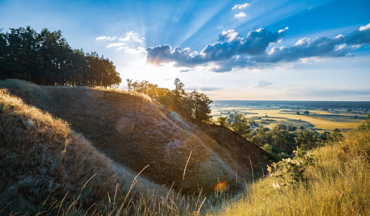 Elektronika z Japonii: Innowacje, które zmieniają przyszłość technologii