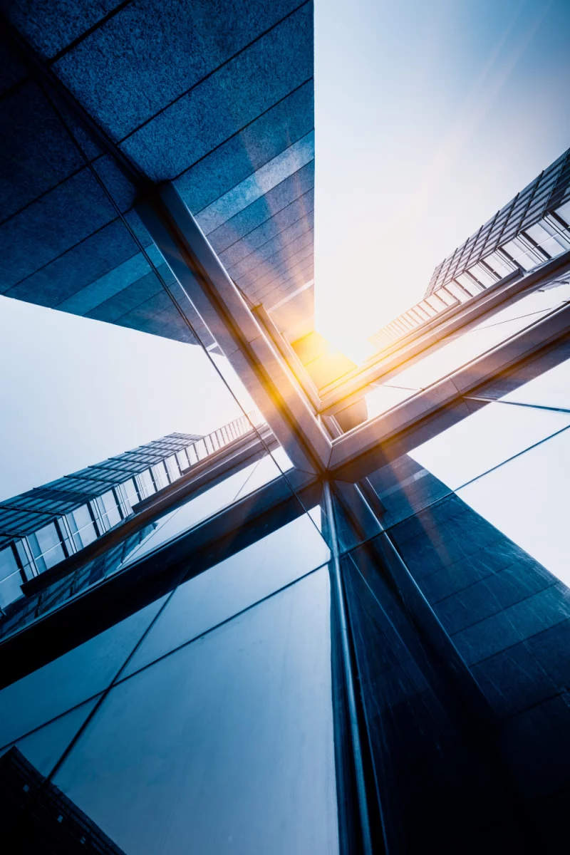 BDO za Granicą: Kluczowe informacje dla polskich przedsiębiorców