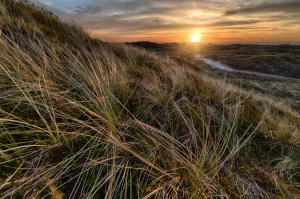 Najtańsze biurka do nauki dla dziecka – Komfort i funkcjonalność w przystępnej cenie!