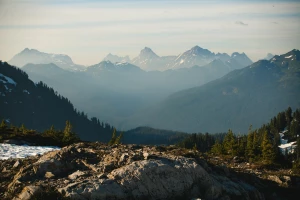 Wygodne krzesła na wesele: Klucz do udanej zabawy i komfortu gości